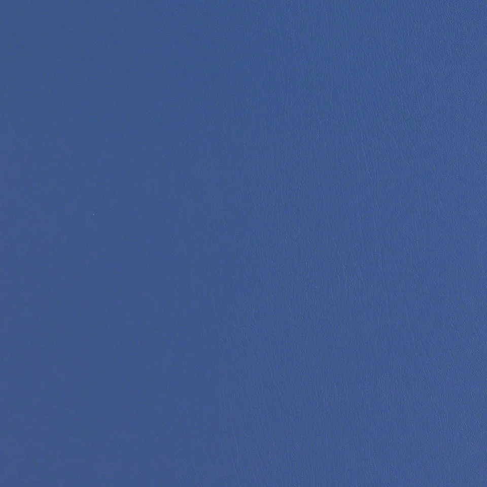 Bluejay